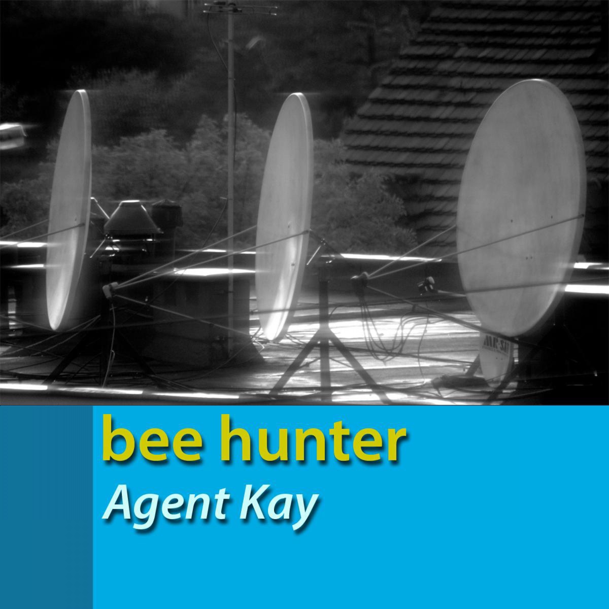 Agent Kay - Single by Bee Hunter album cover