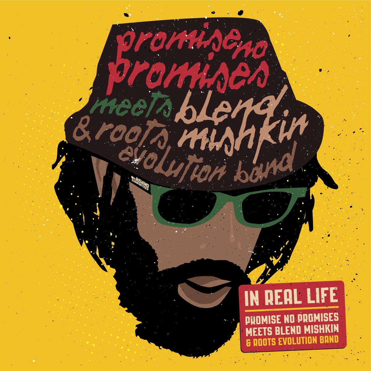 In Real Life by Promise No Promises, Blend Mishkin & Roots Evolution album cover
