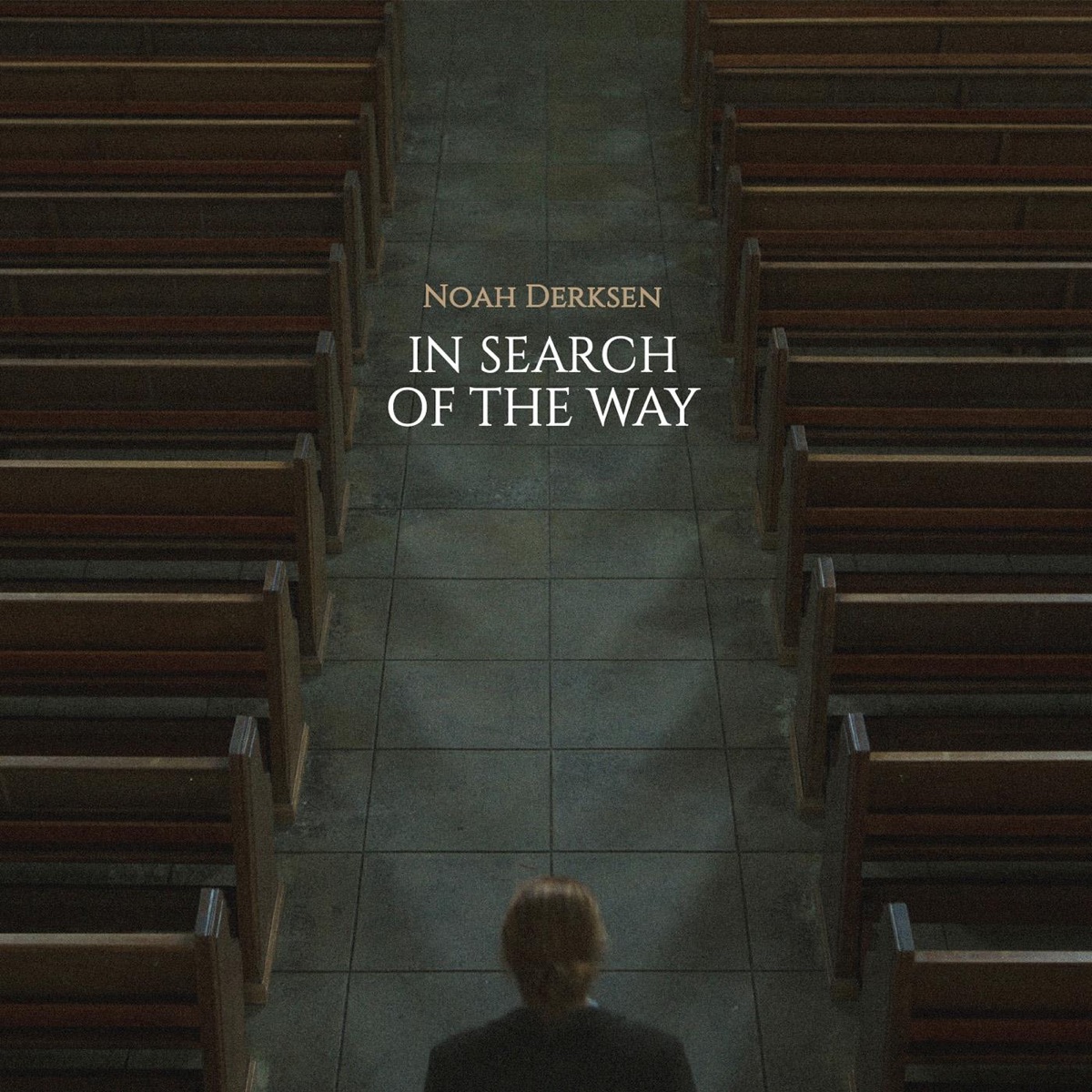In Search of the Way by Noah Derksen album cover