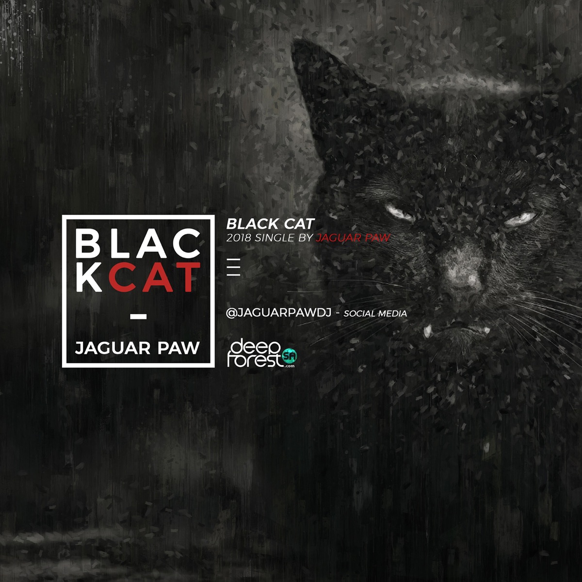 Black Cat - Single by Jaguar Paw album cover