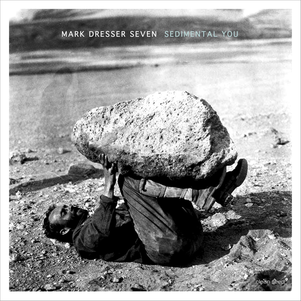 Sedimental You (feat. Nicole Mitchell, Marty Ehrlich, David Morales Boroff, Michael Dessen, Joshua White & Jim Black) by Mark Dresser Seven album cover