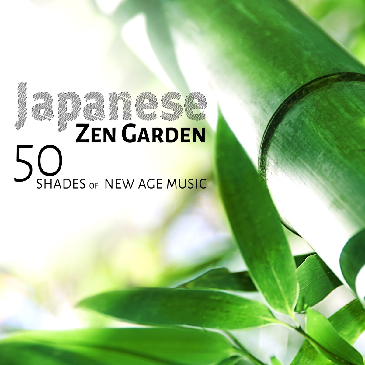 Japanese Zen Garden: Buddhist Meditation Music for Secret Spa Relaxation Time, Asian Chakra Balancing and Reiki Healing Therapy by Chakra Healing Music Academy album cover