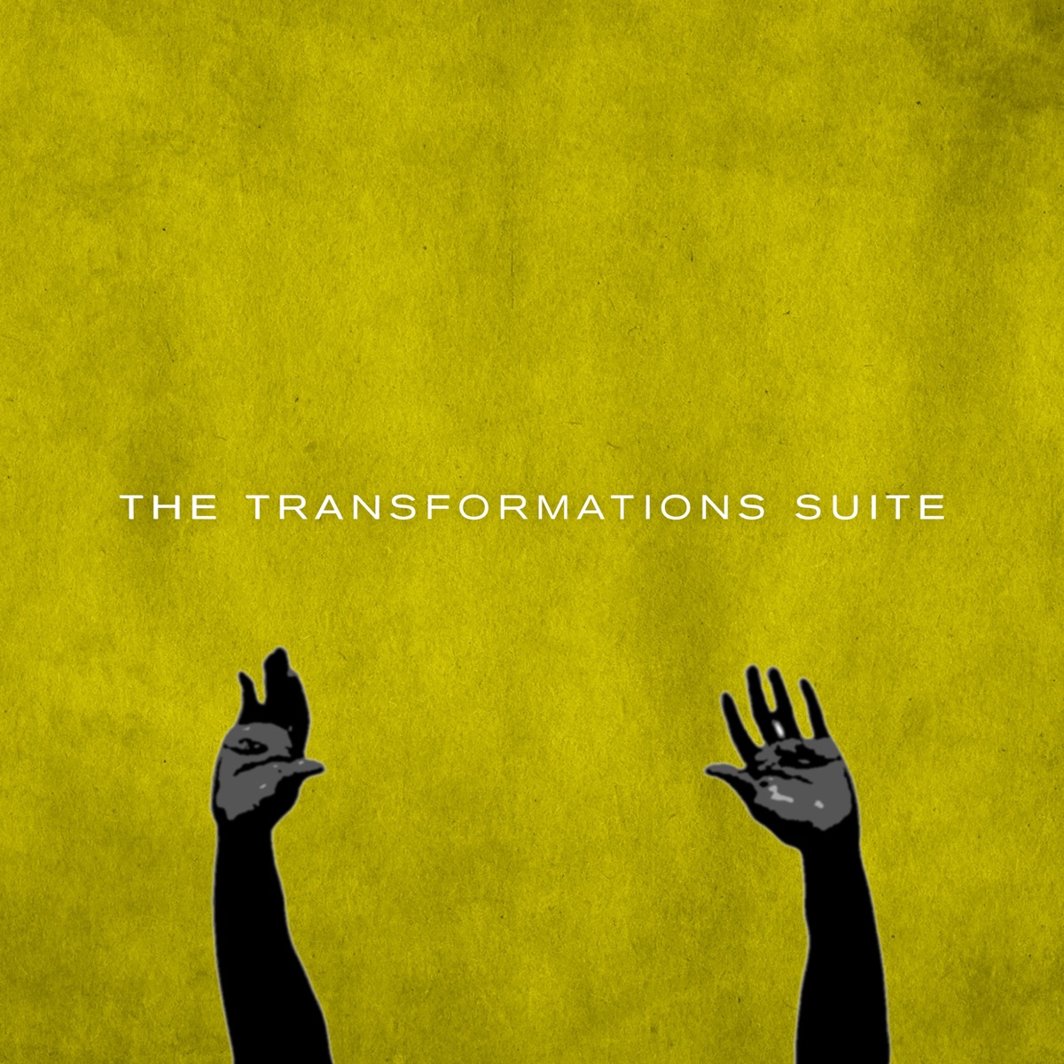 The Transformations Suite by Samora Pinderhughes album cover