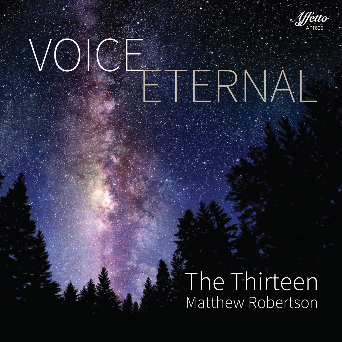 Voice Eternal by The Thirteen album cover