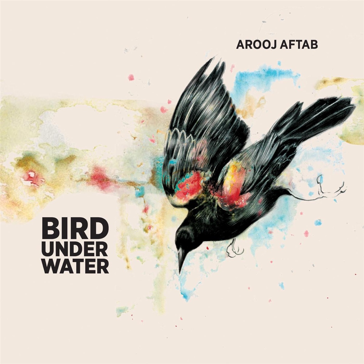 Bird Under Water by Arooj Aftab album cover