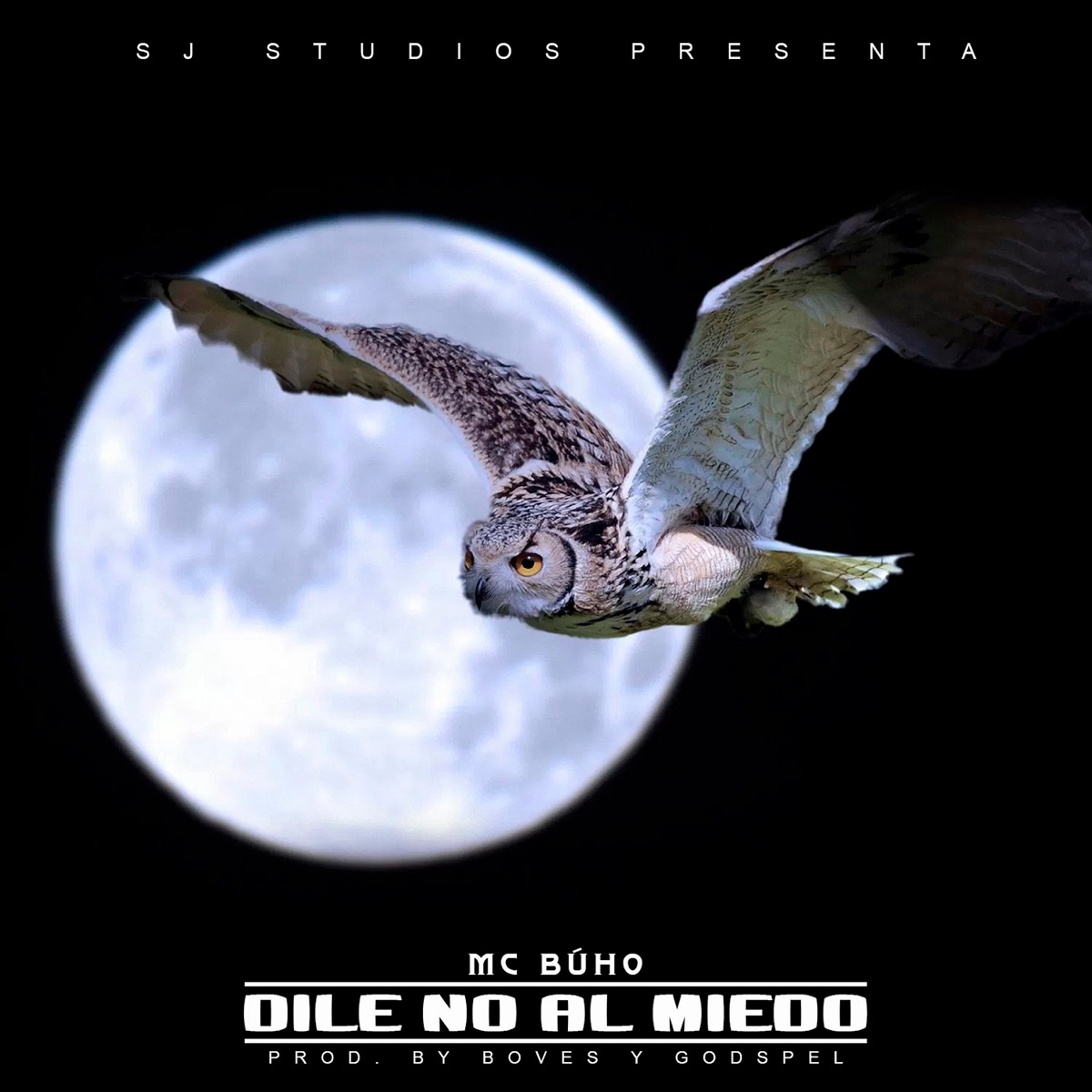 Dile No Al Miedo - Single by MC Búho album cover