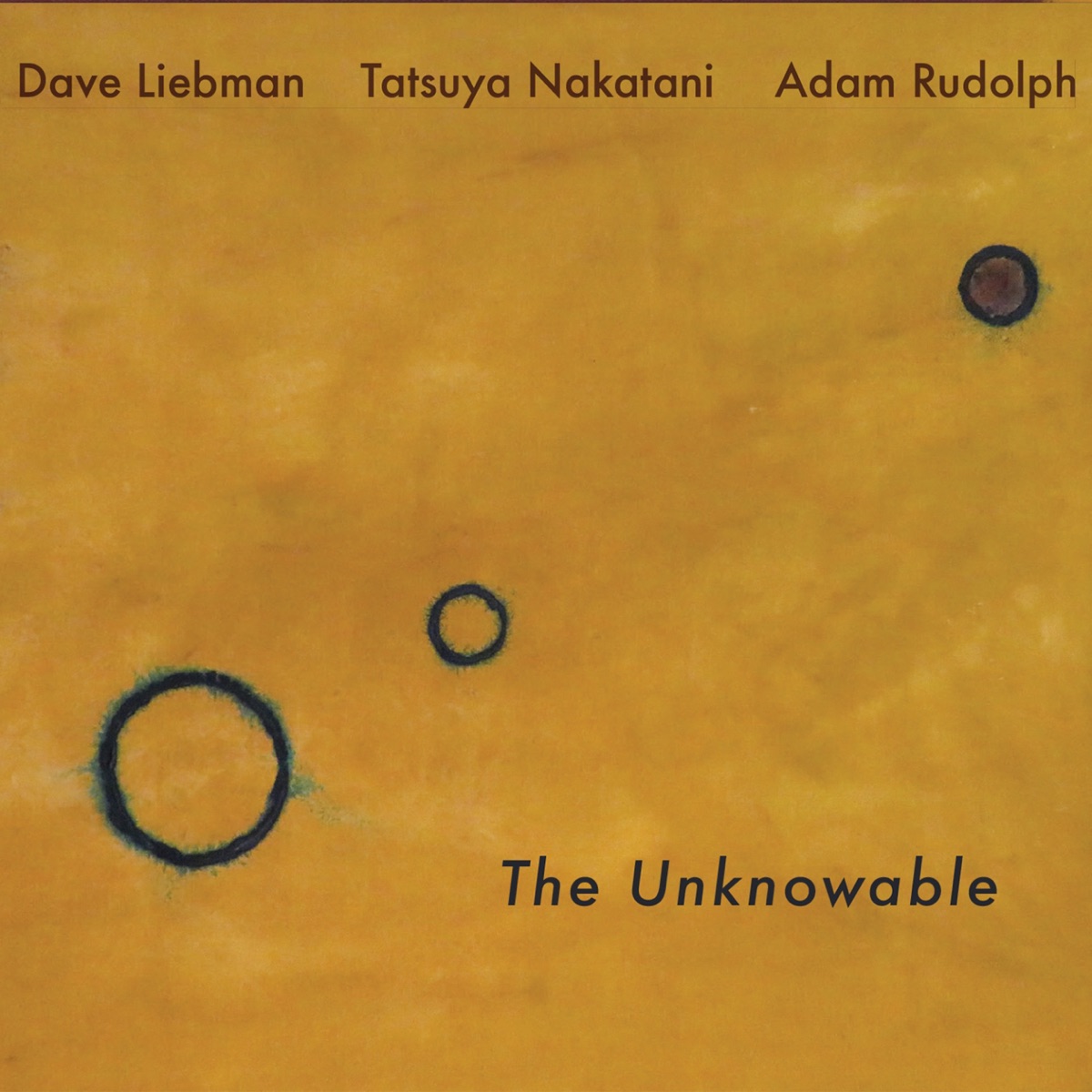 The Unknowable by Dave Liebman, Adam Rudolph & Tatsuya Nakatani album cover