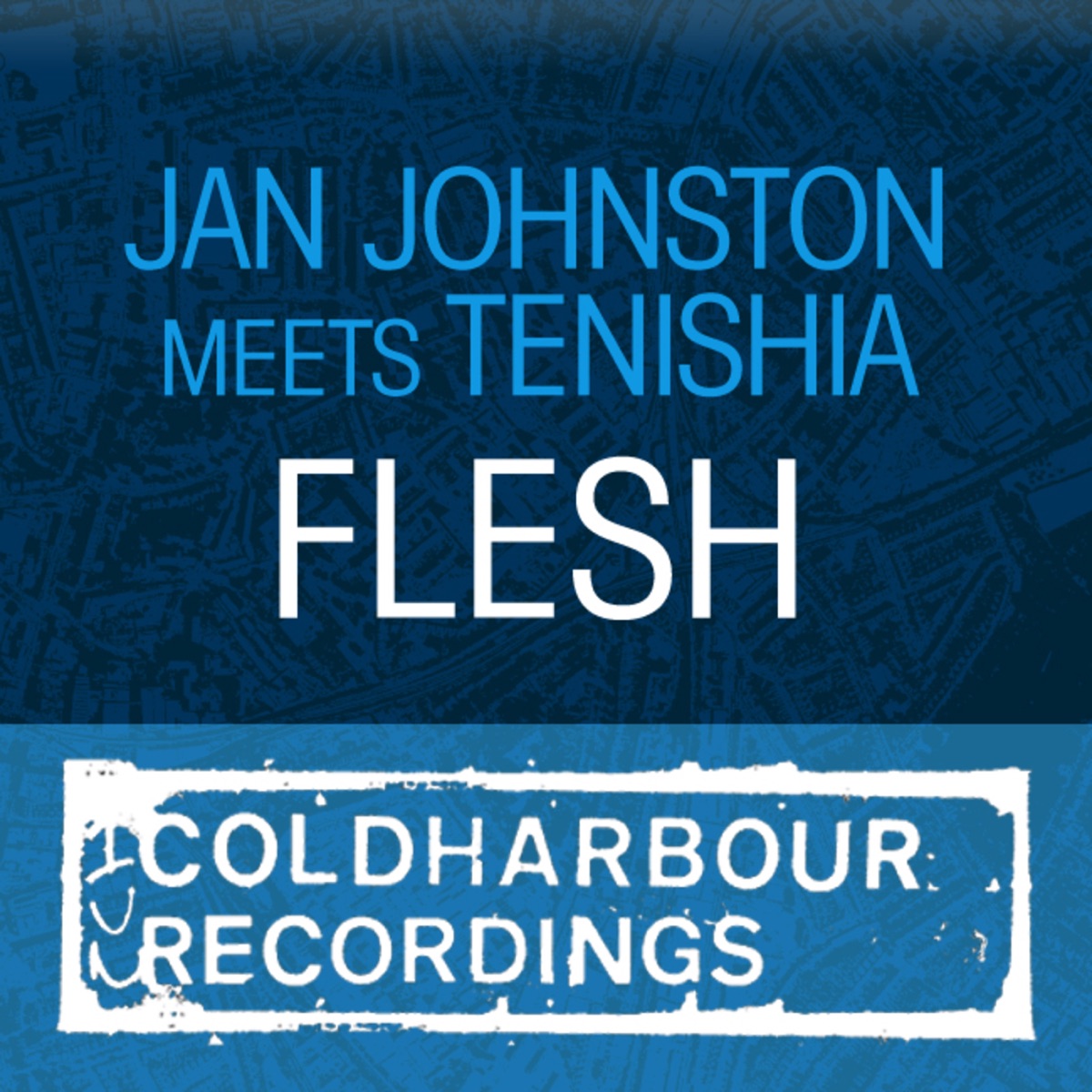 Flesh - Single by Jan Johnston & Tenishia album cover