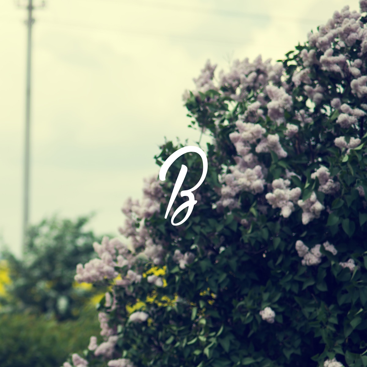 Smoke Diaries by Blunted Beatz album cover