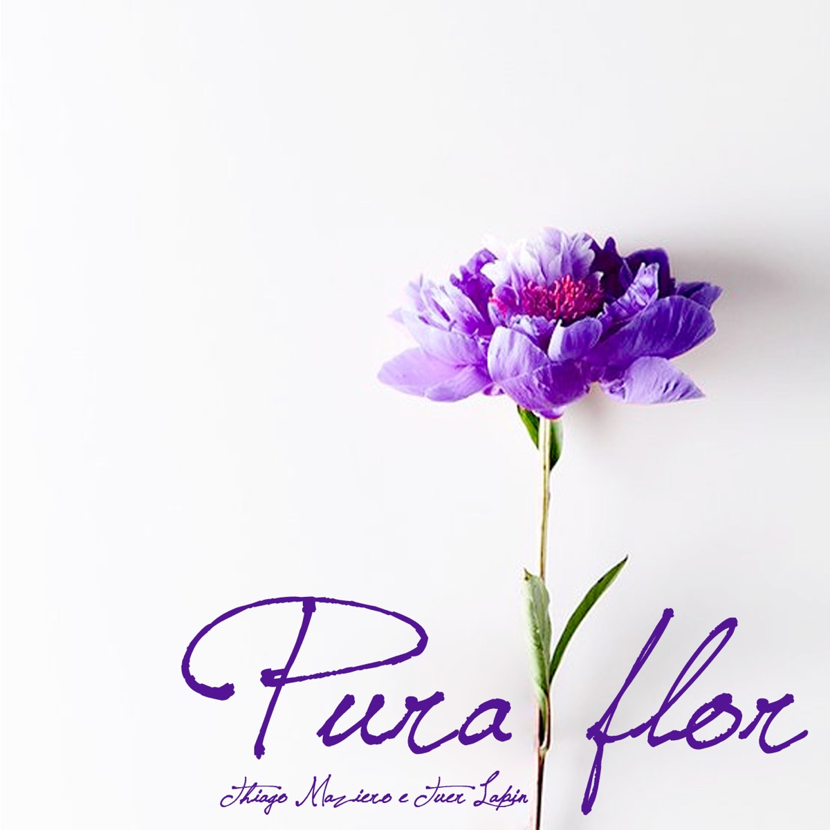 Pura Flor - Single by Thiago Maziero & Tuer Lapin album cover