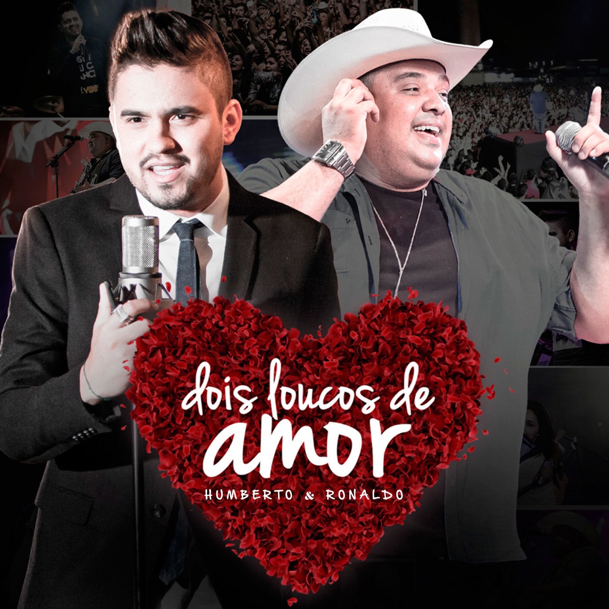 Dois Loucos de Amor - Single by Humberto & Ronaldo album cover