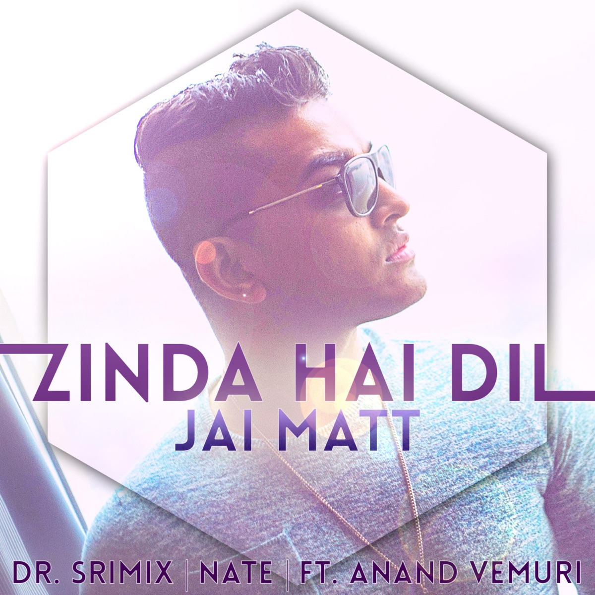 Zinda Hai Dil (feat. Dr. Srimix, Nate & Anand Vemuri) - Single by Jai Matt album cover