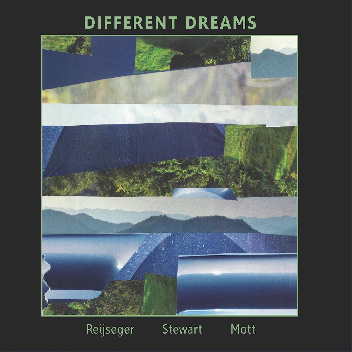 Different Dreams by Ernst Reijseger, David Mott & Jesse Stewart album cover