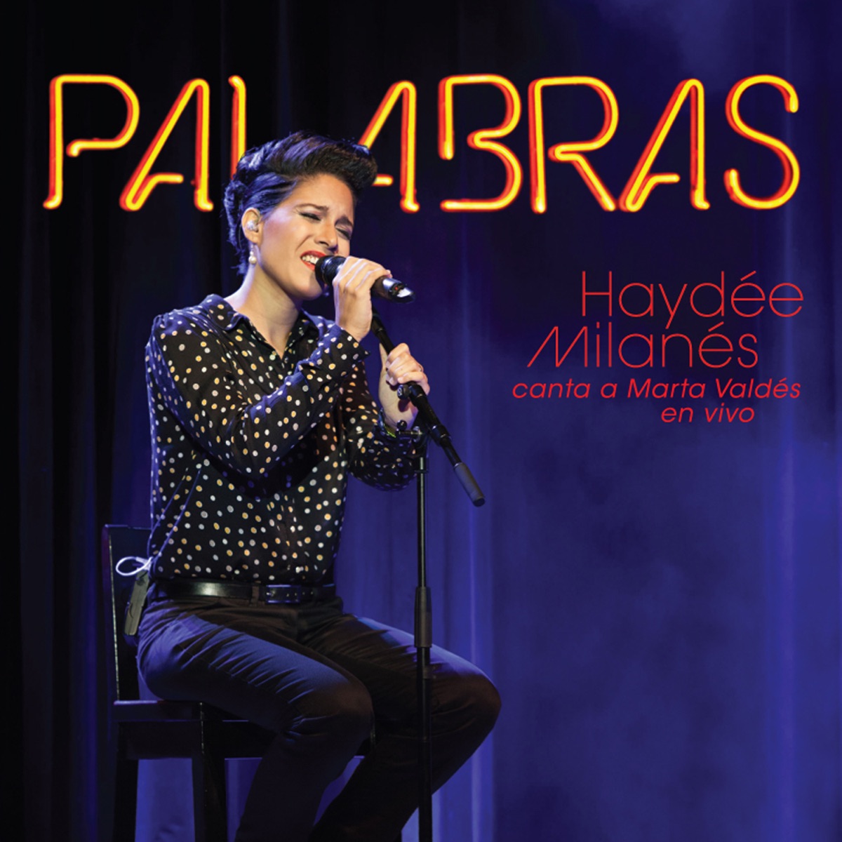 Palabras by Haydée Milanés album cover