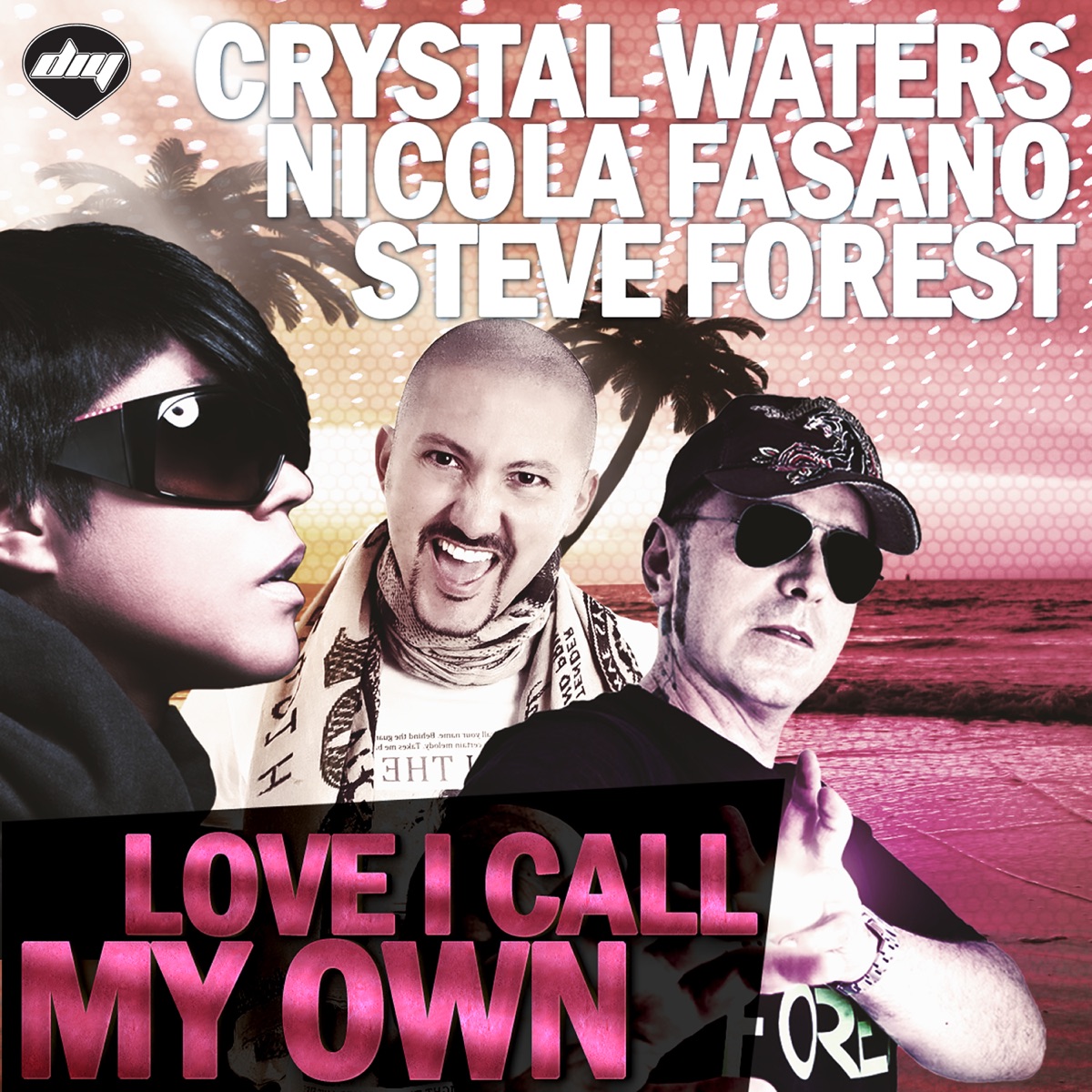 Love I Call My Own by Crystal Waters, Nicola Fasano & Steve Forest album cover