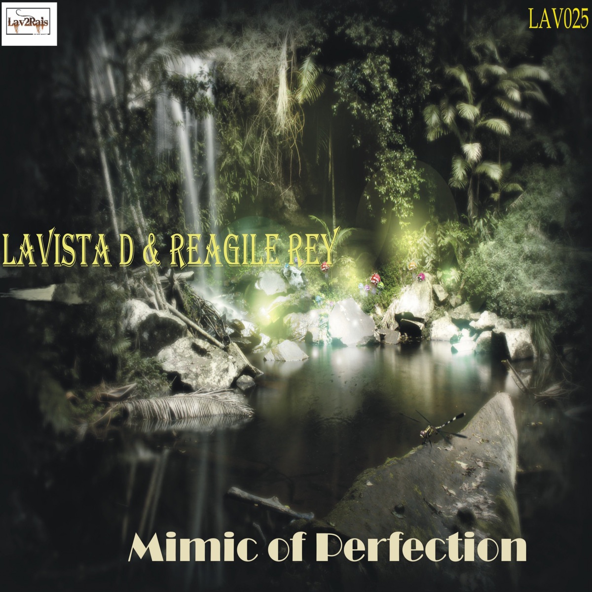 Mimic of Perfection - Single by Lavista D & Reagile Rey album cover