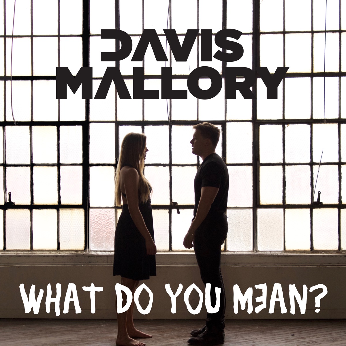 What Do You Mean? - Single by Davis Mallory album cover