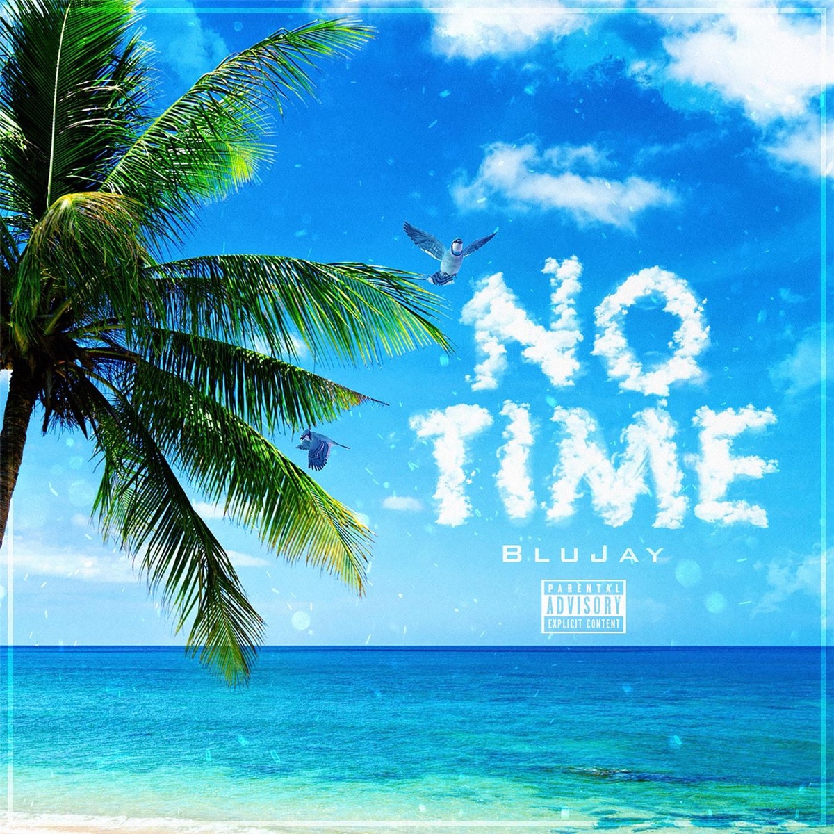 No Time - Single by blujay album cover