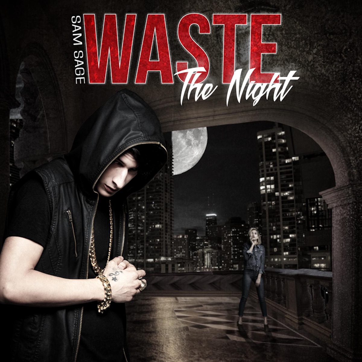 Waste the Night - Single by Sam Sage album cover