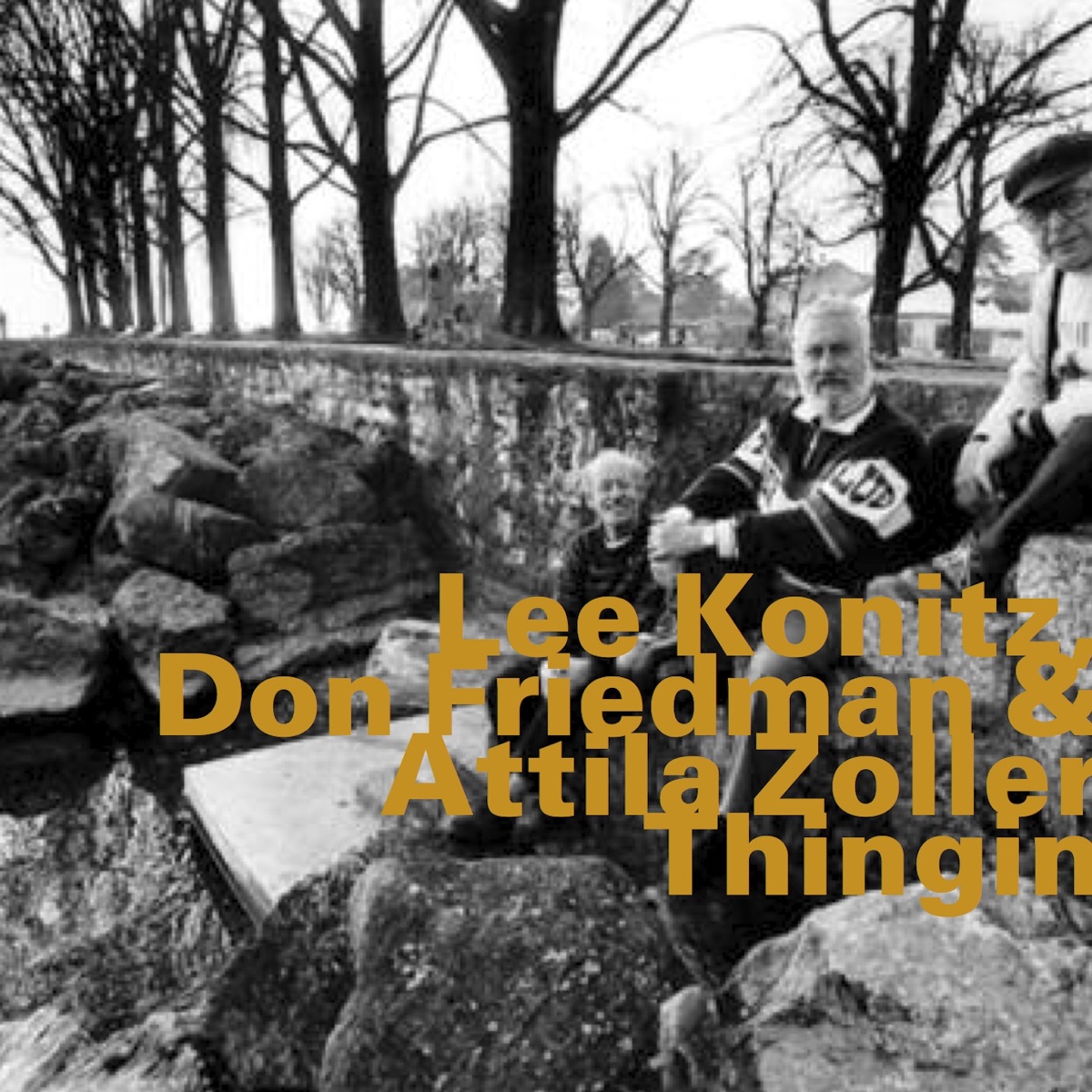 Thingin by Lee Konitz, Don Friedman & Attila Zoller album cover