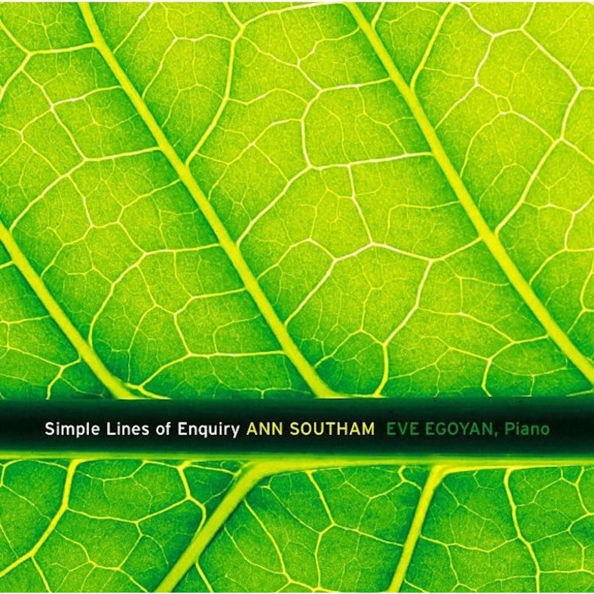 Simple Lines of Enquiry by Eve Egoyan album cover