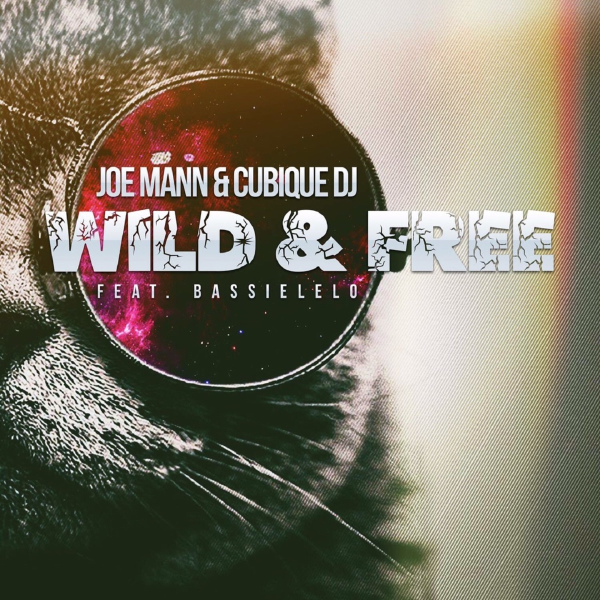 Wild & Free (feat. Bassielelo) - Single by Joemann & Cubique Dj album cover