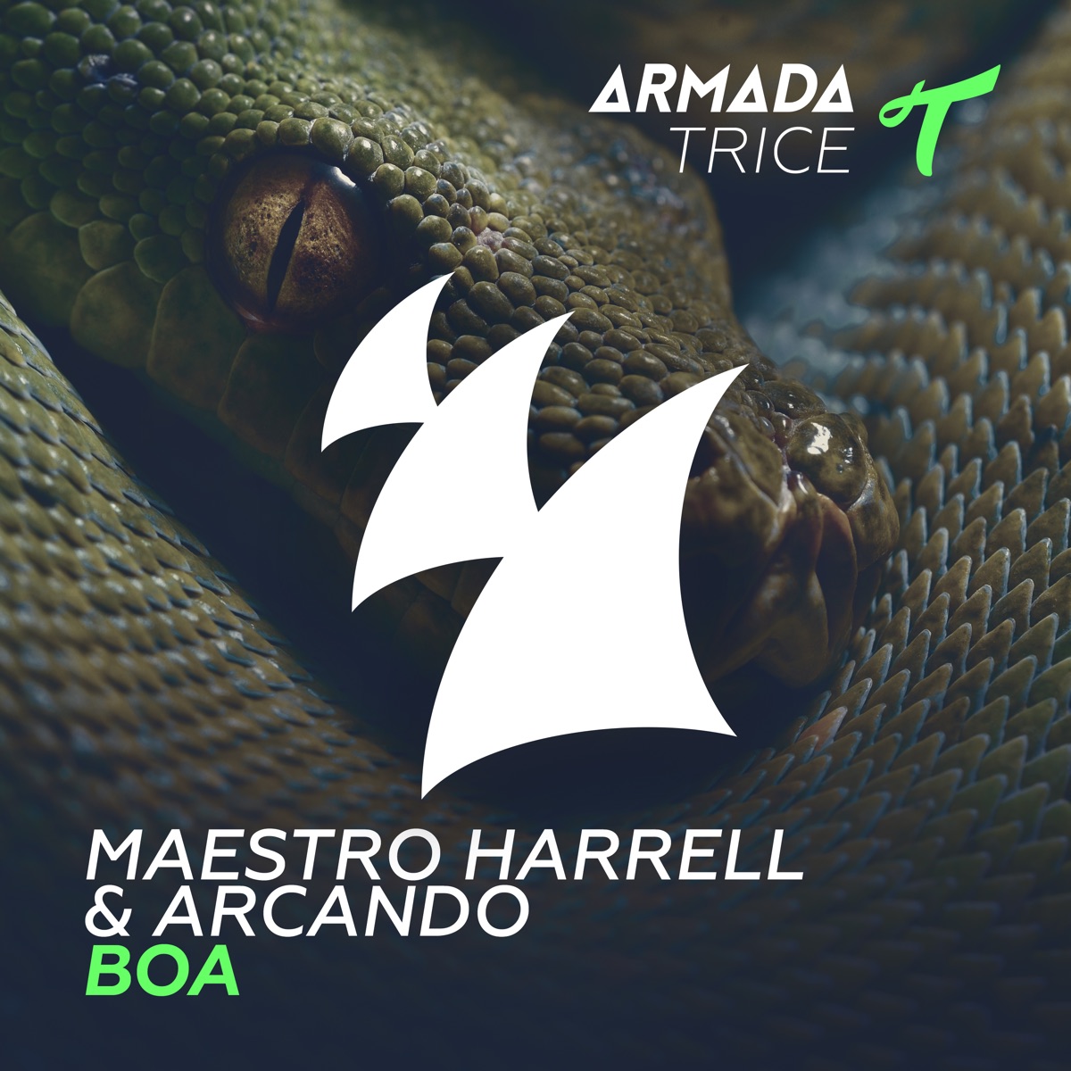 Boa - Single by Maestro Harrell & Arcando album cover