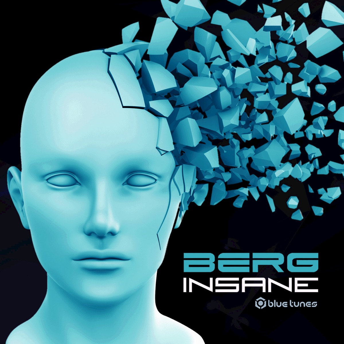 Insane - Single by Berg album cover
