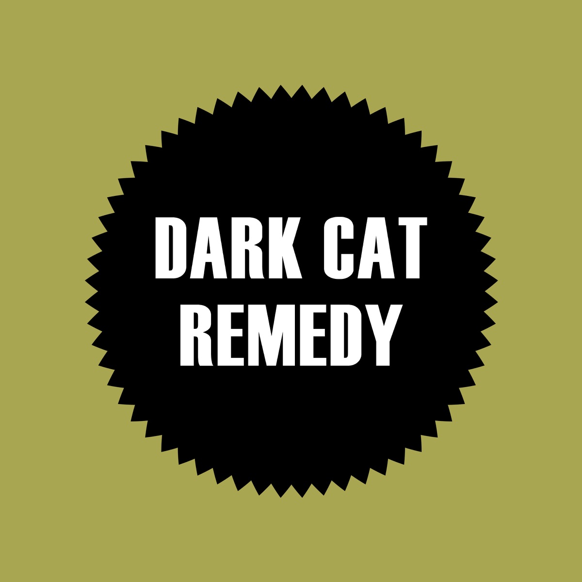 Remedy - Single by dark cat album cover