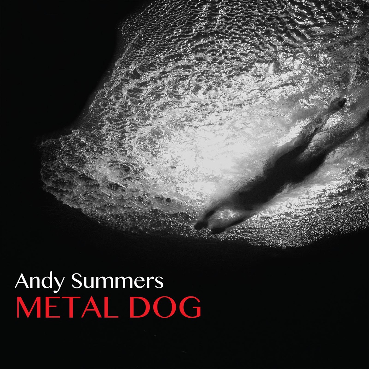 Metal Dog by Andy Summers album cover