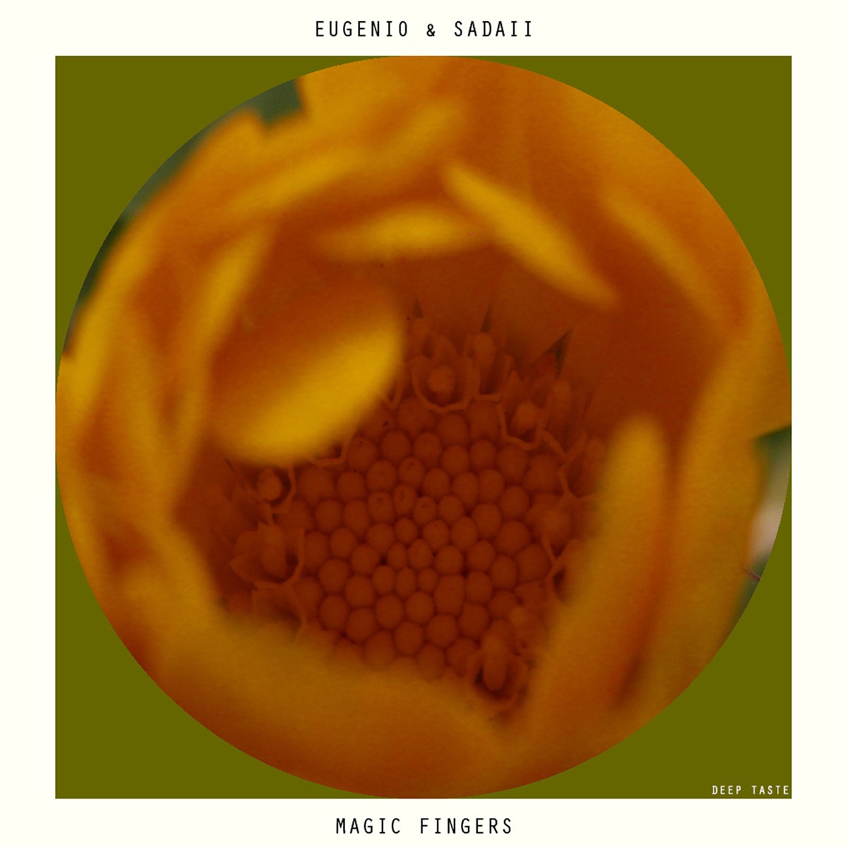 Magic Fingers - Single by Eugenio & Sadaii album cover