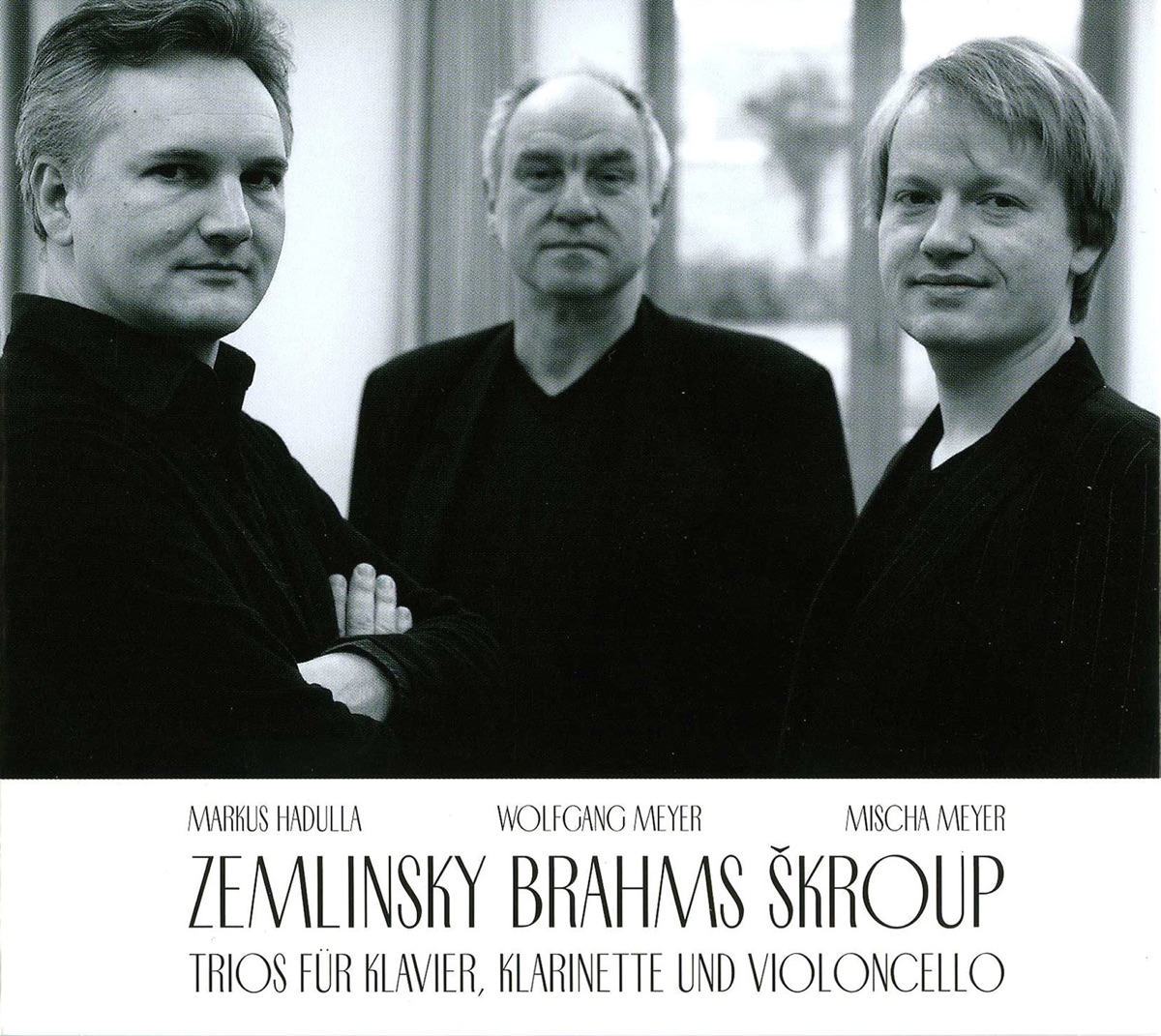 Zemlinksy, Brahms & Škroup: Trios Piano, Clarinet & Cello by Wolfgang Meyer, Mischa Meyer & Markus Hadulla album cover