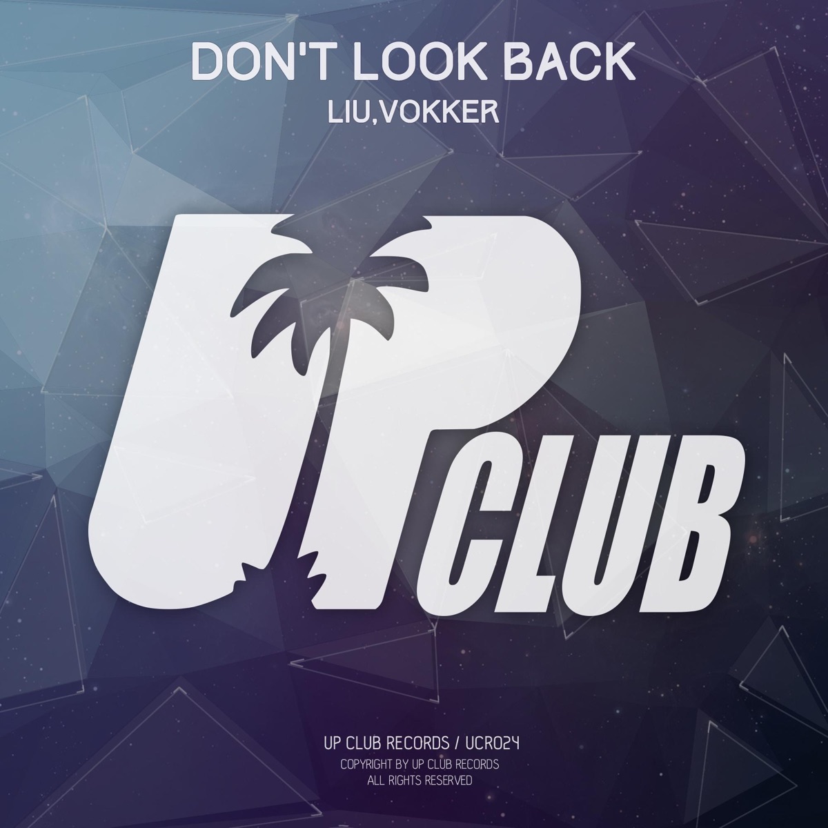 Don't Look Back - Single by Liu & Vokker album cover