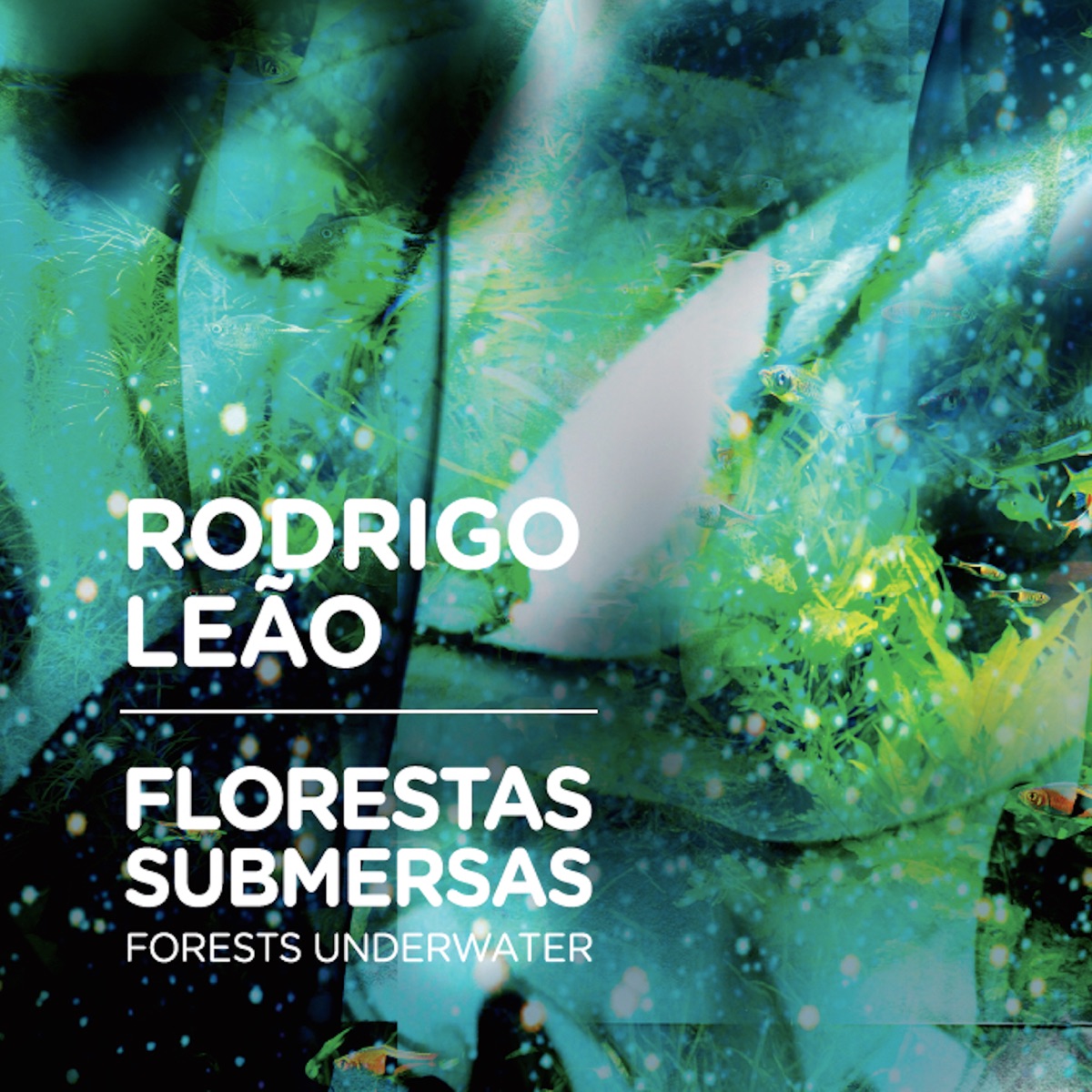 Florestas Submersas by Rodrigo Leão album cover