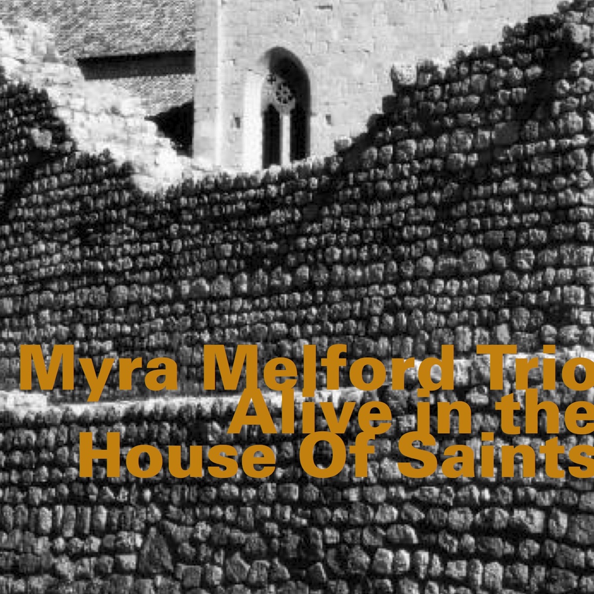 Alive in the House of Saints (Live) [feat. Myra Melford, Lindsey Horner & Reggie Nicholson] by Myra Melford Trio album cover