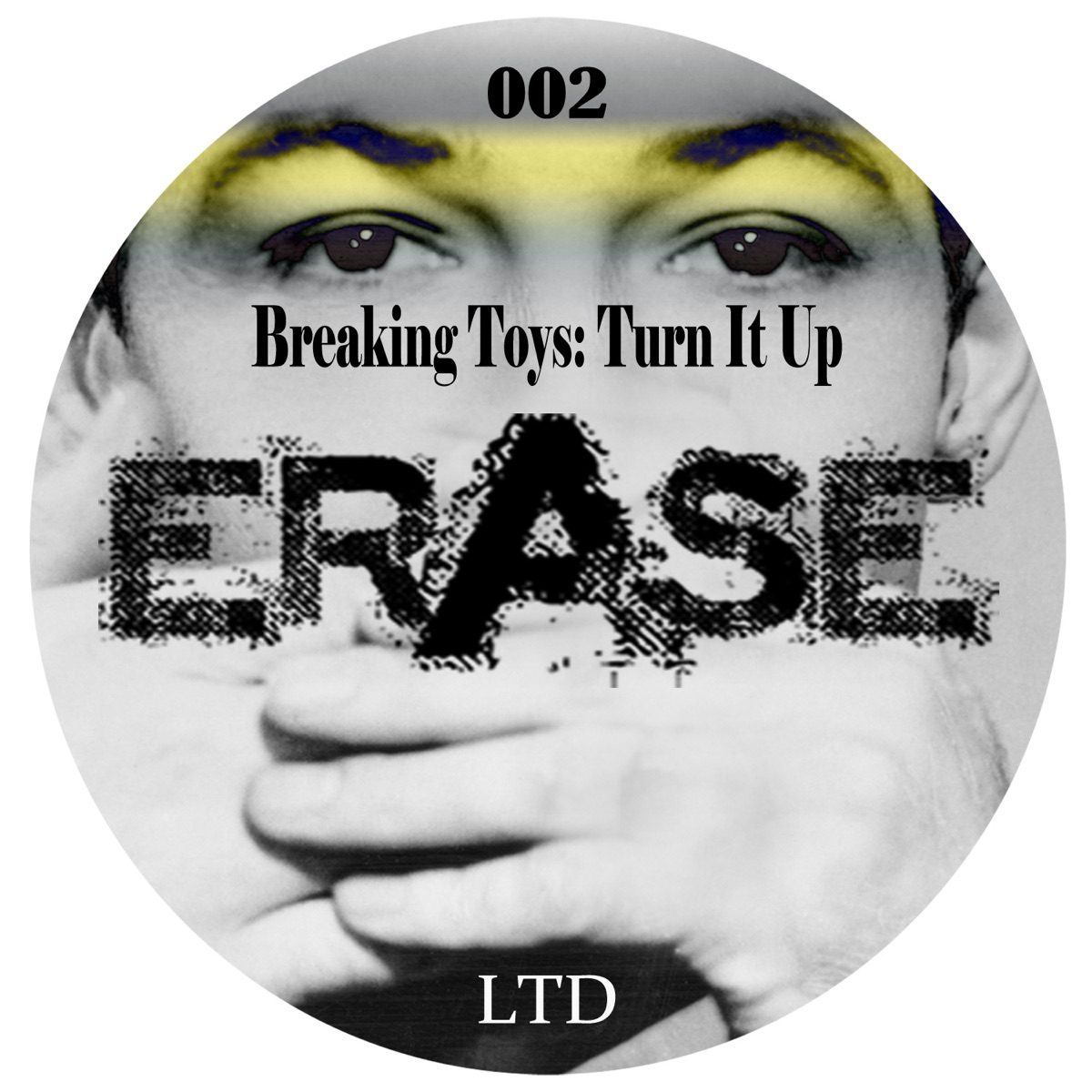 Turn It Up - Single by Breaking Toys album cover