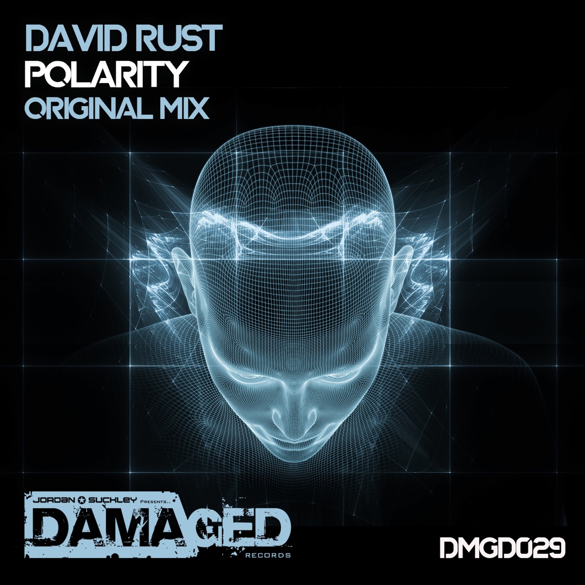 Polarity - Single by David Rust album cover