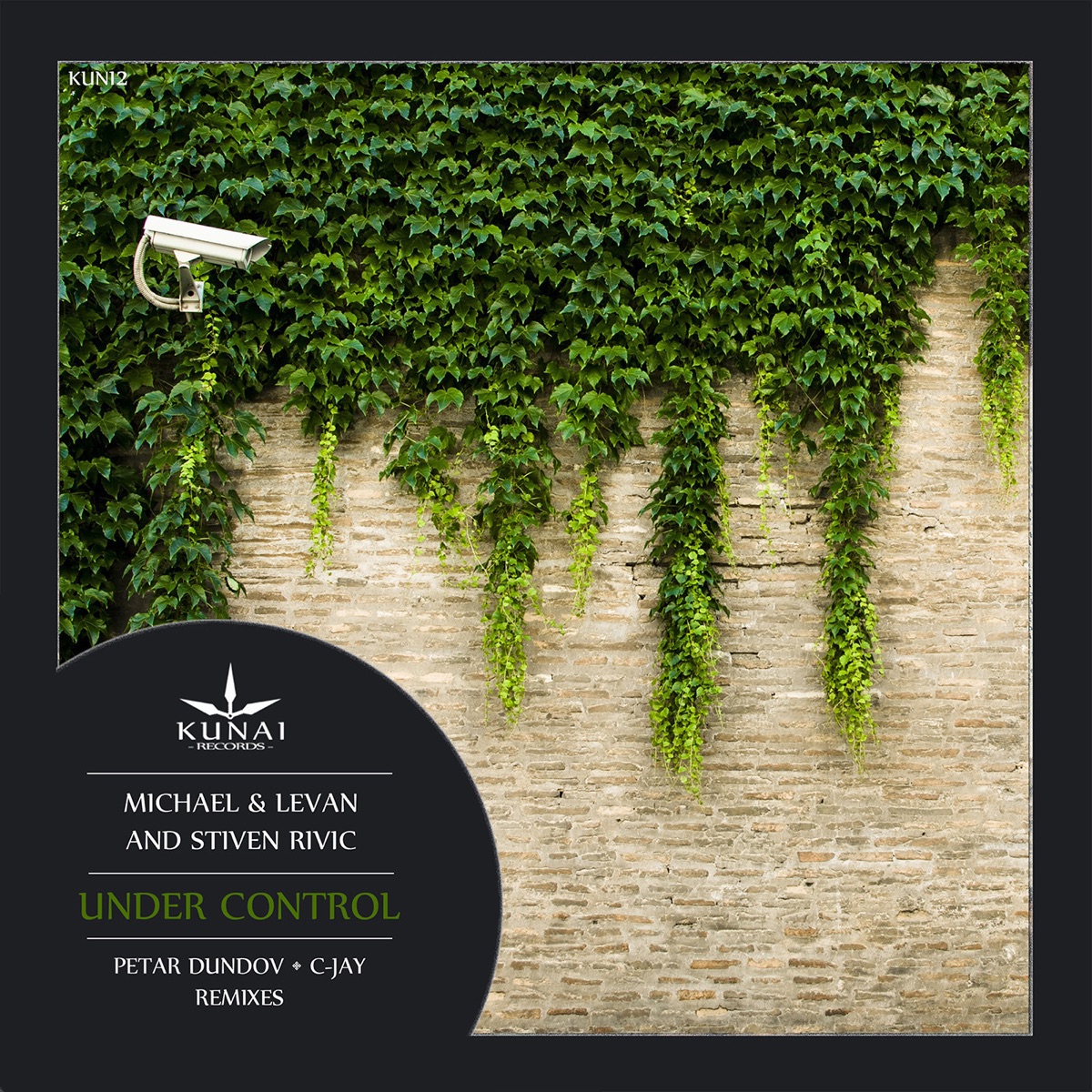 Under Control - Single by C-Jay, Michael & Levan & Petar Dundov album cover