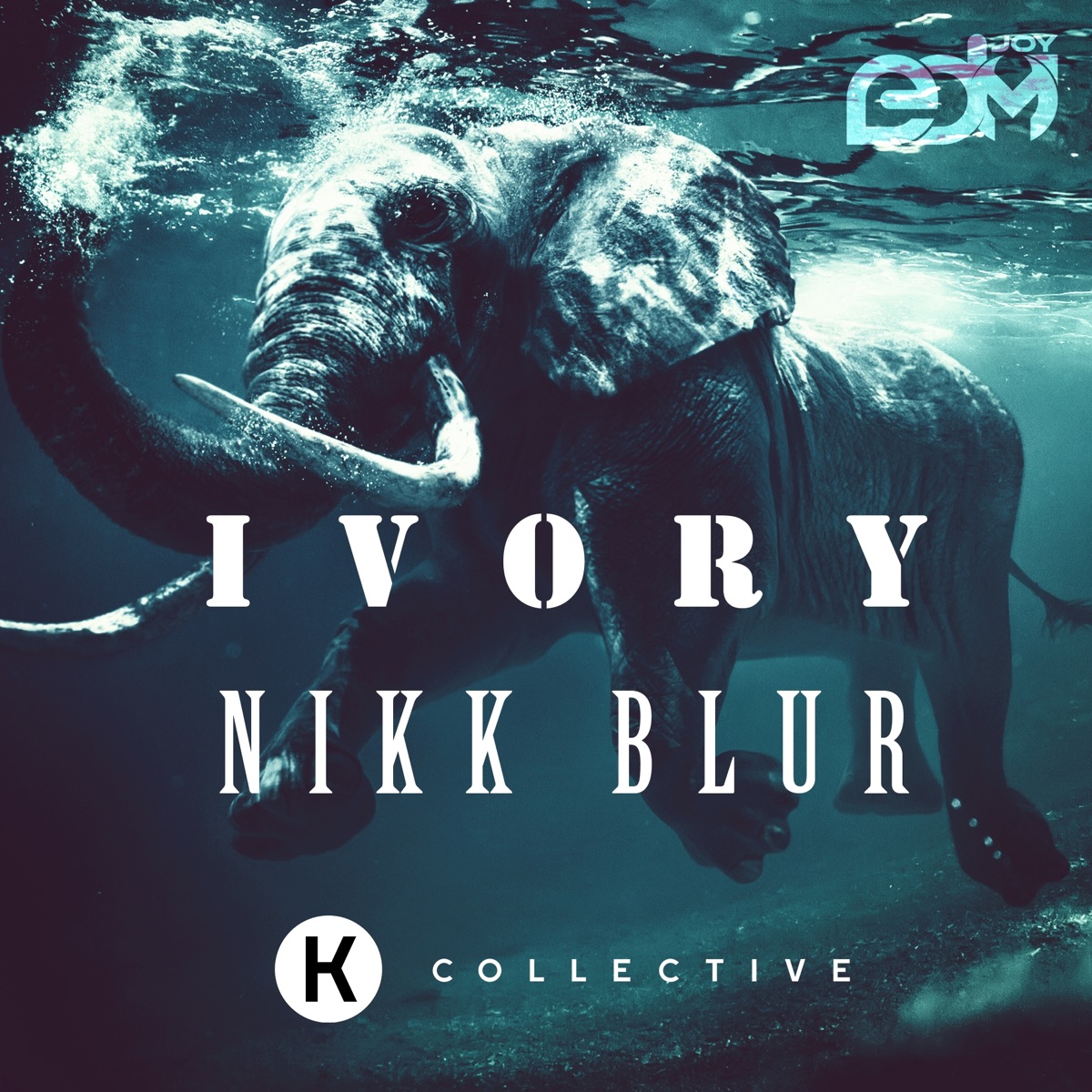 Ivory - Single by Nikk Blur album cover