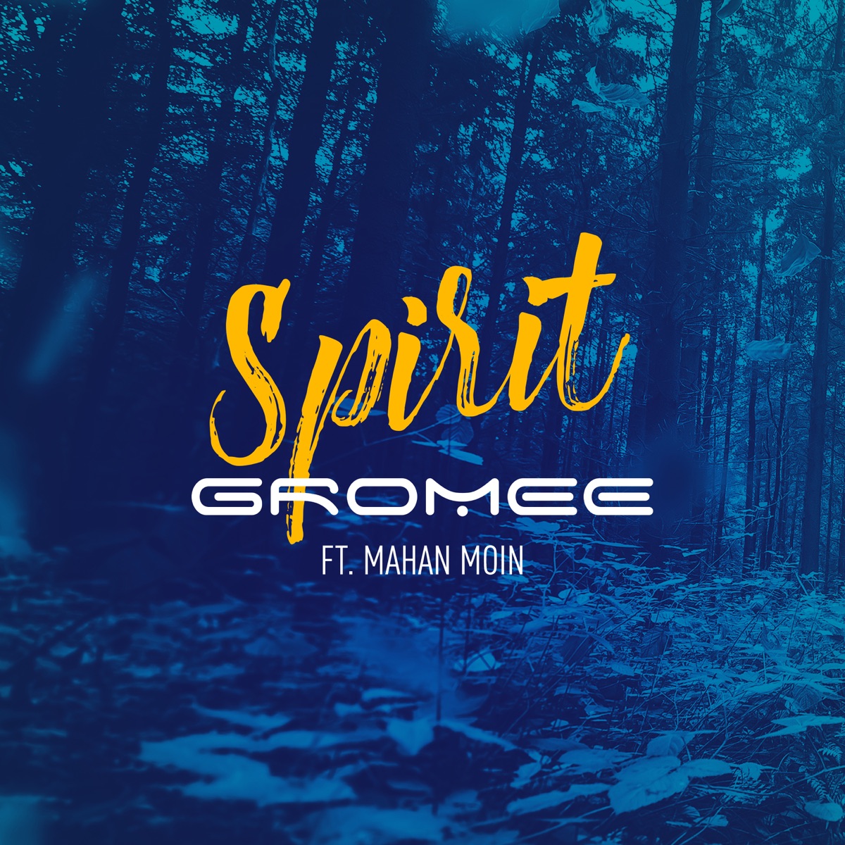 Spirit (feat. Mahan Moin) - Single by Gromee album cover