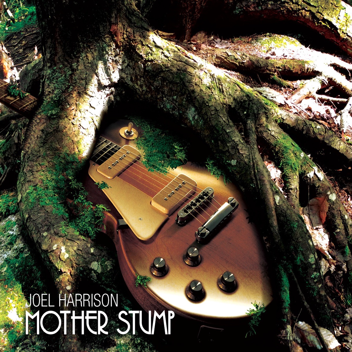 Mother Stump by Joel Harrison album cover