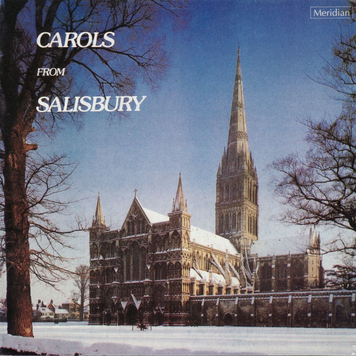 Carols from Salisbury by The Choir of Salisbury Cathedral & Richard Seal album cover