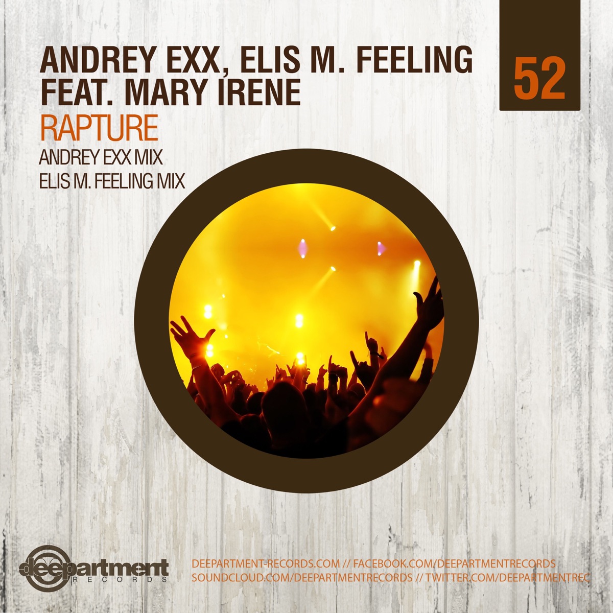Rapture (feat. Mary Irene) - Single by Andrey Exx & Elis M. Feeling album cover