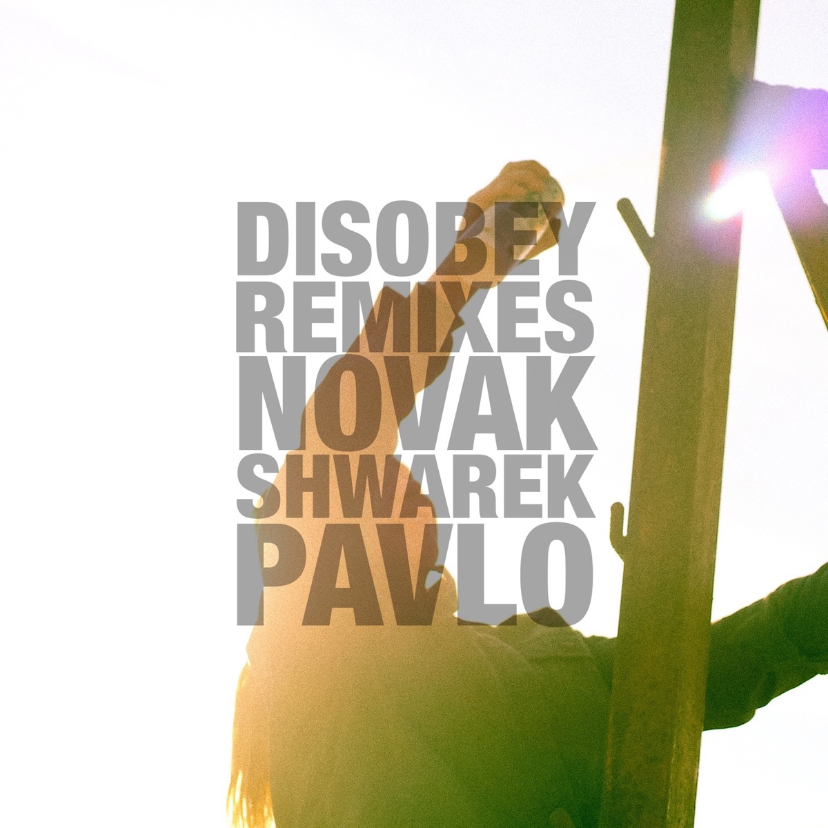 Disobey (Remixes) - Single by Novak, Shwarek & Pavlo album cover