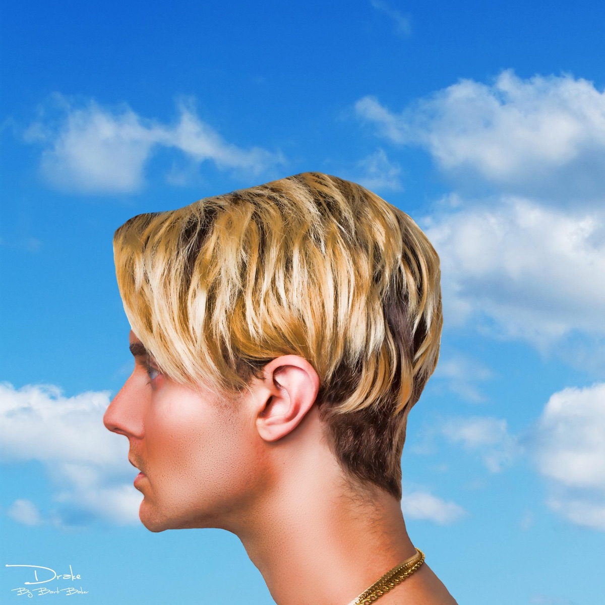 Drake - Single by Bart Baker album cover