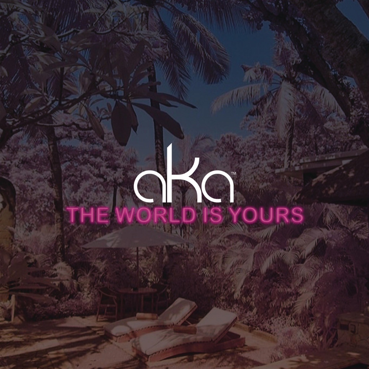 The World Is Yours - Single by AKA album cover