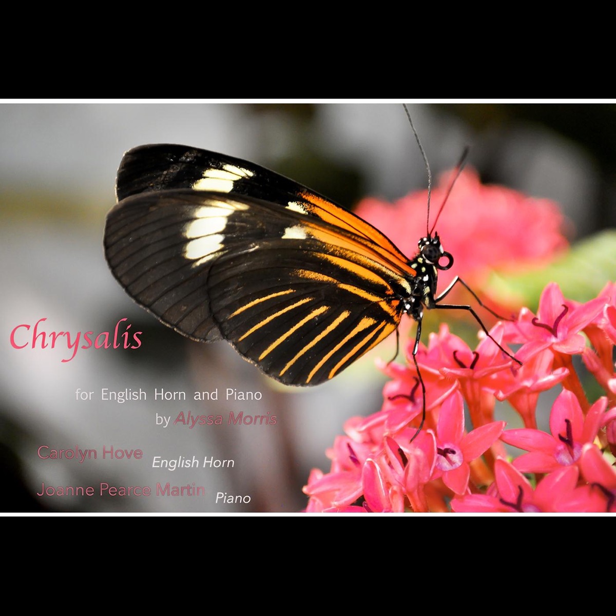 Chrysalis for English Horn & Piano - Single by Carolyn Hove & Joanne Pearce Martin album cover