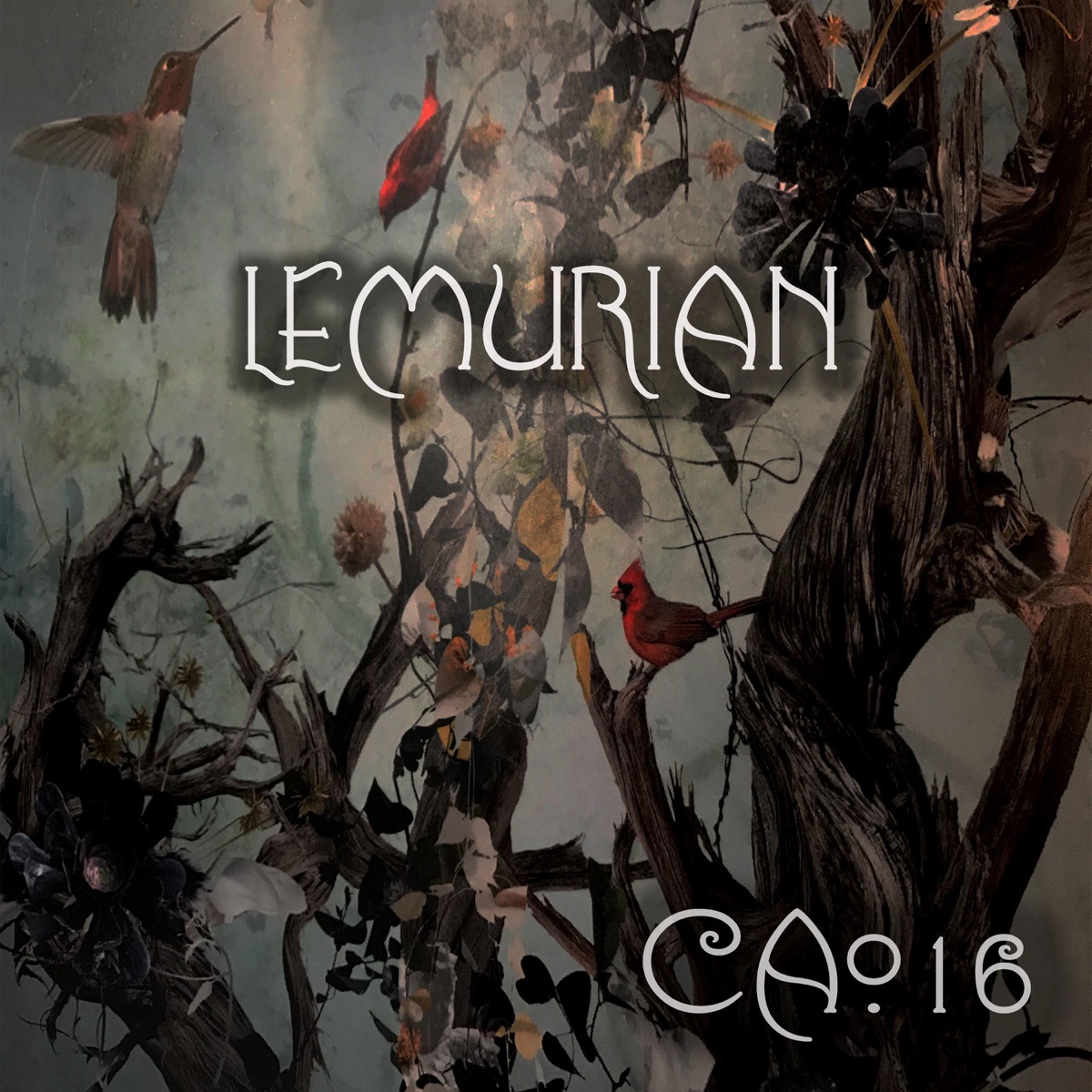 After the Dream by Lemurian album cover
