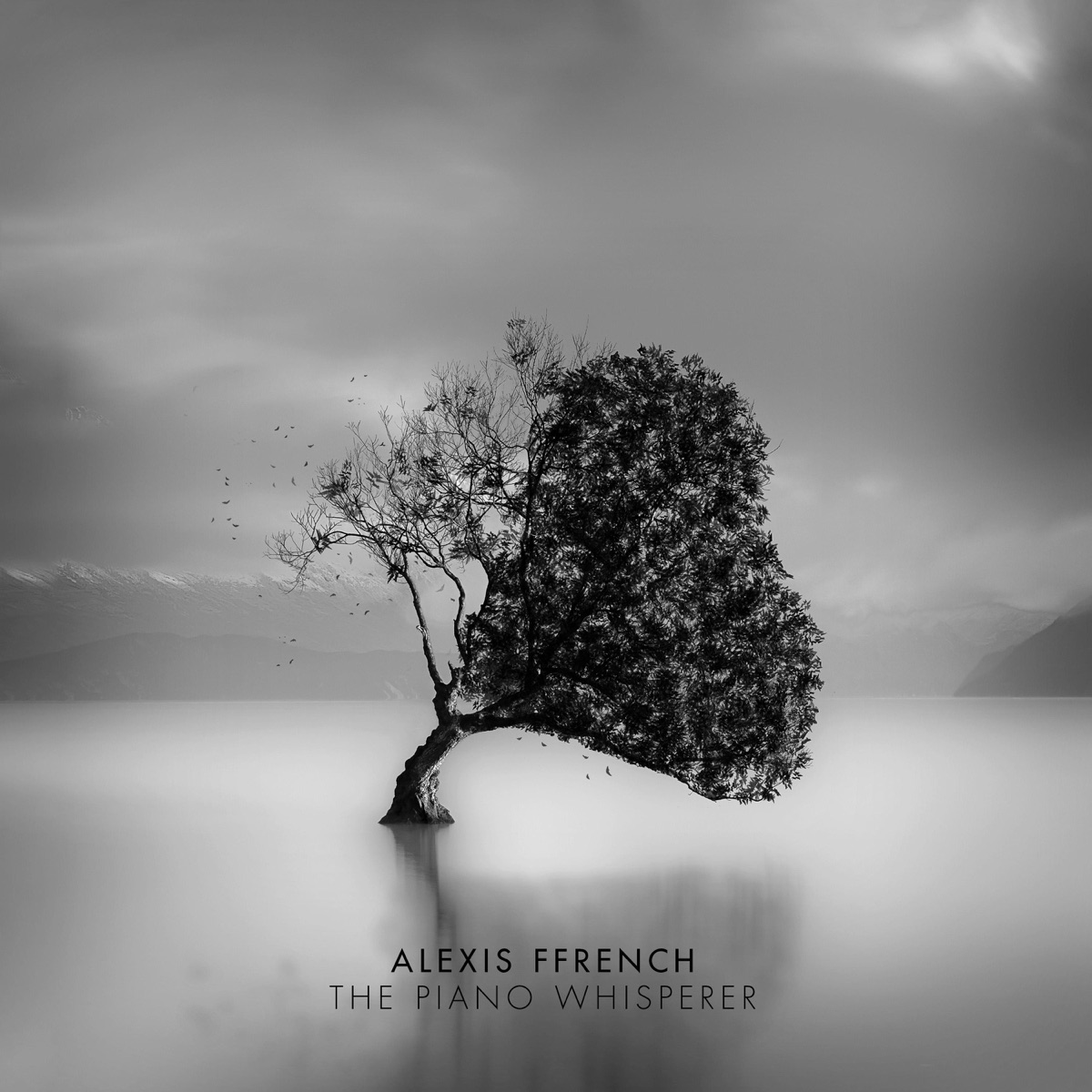 The Piano Whisperer by Alexis Ffrench album cover