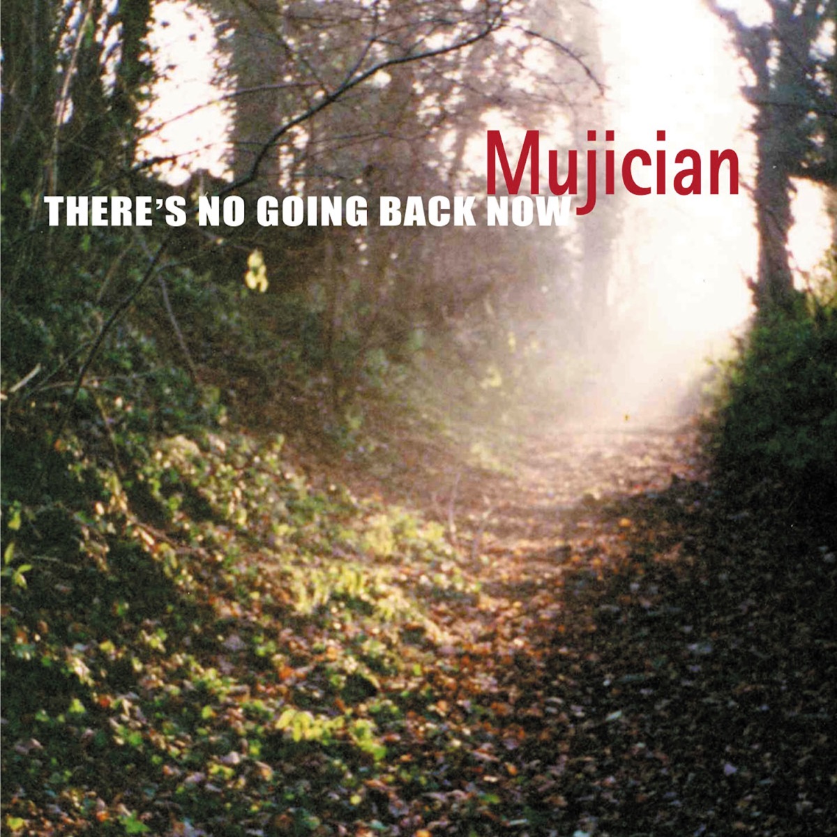 There's No Going Back Now by Mujician album cover